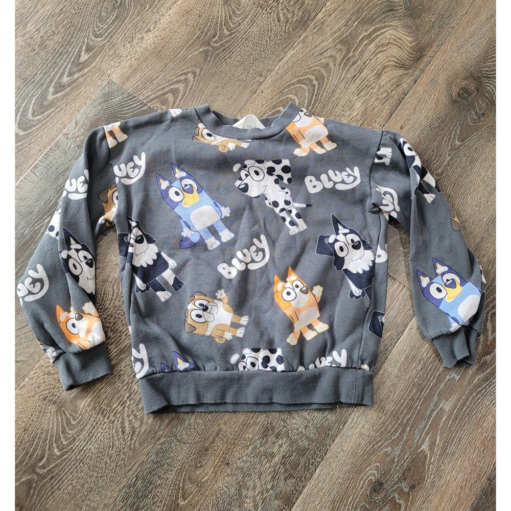 H&M Kids Bluey Sweatshirt Pullover Gray Character Print Size 8-9 Years #2